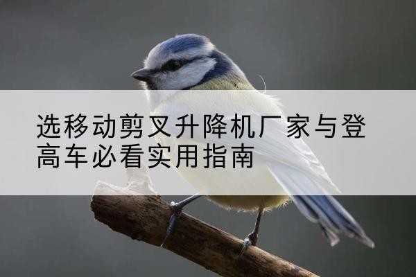 江岸电动升降机厂家-选移动剪叉升降机厂家与登高车必看实用指南