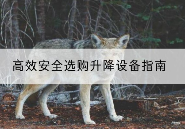 江岸升降货梯厂家推荐-*安全选购升降设备指南